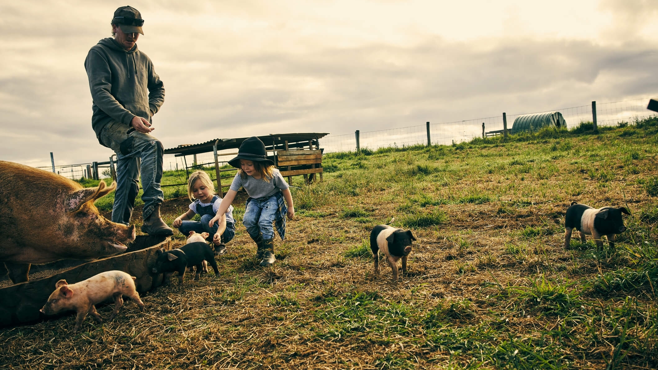 kids chasing piglets