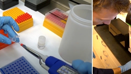 Scientist working in a laboratory