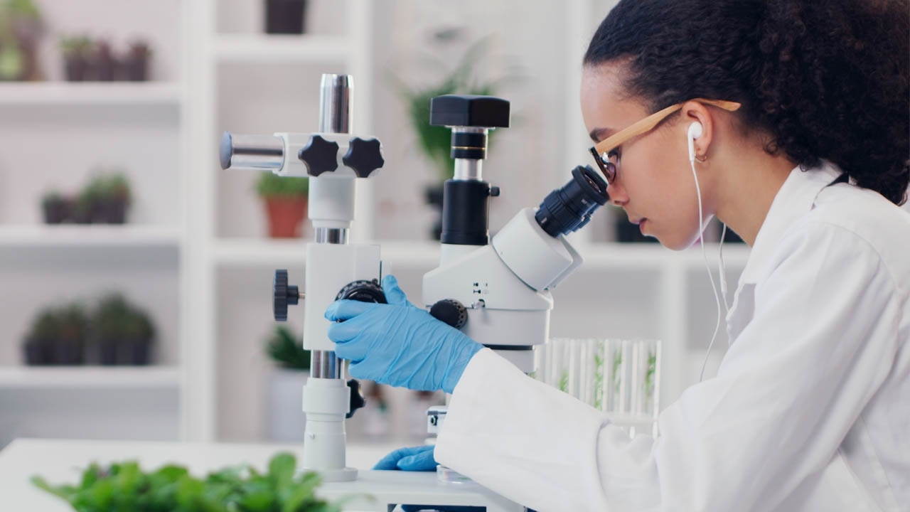 woman scientist looking into a microscope