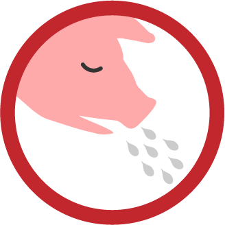 pig coughing icon