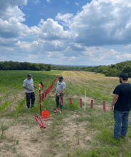 Several people outside in a field installing fladry (red flagging used as a nonlethal deterrent)