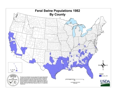 US map showing areas where feral swine are present