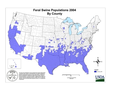US map highlighting areas where feral swine are present