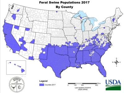 map of US showing prevalence of feral swine in each state