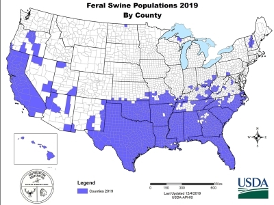 US map depicting the locations where feral swine are present